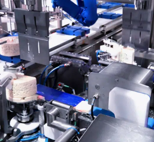 Ixapack divider, industrial cutting machines for cheese