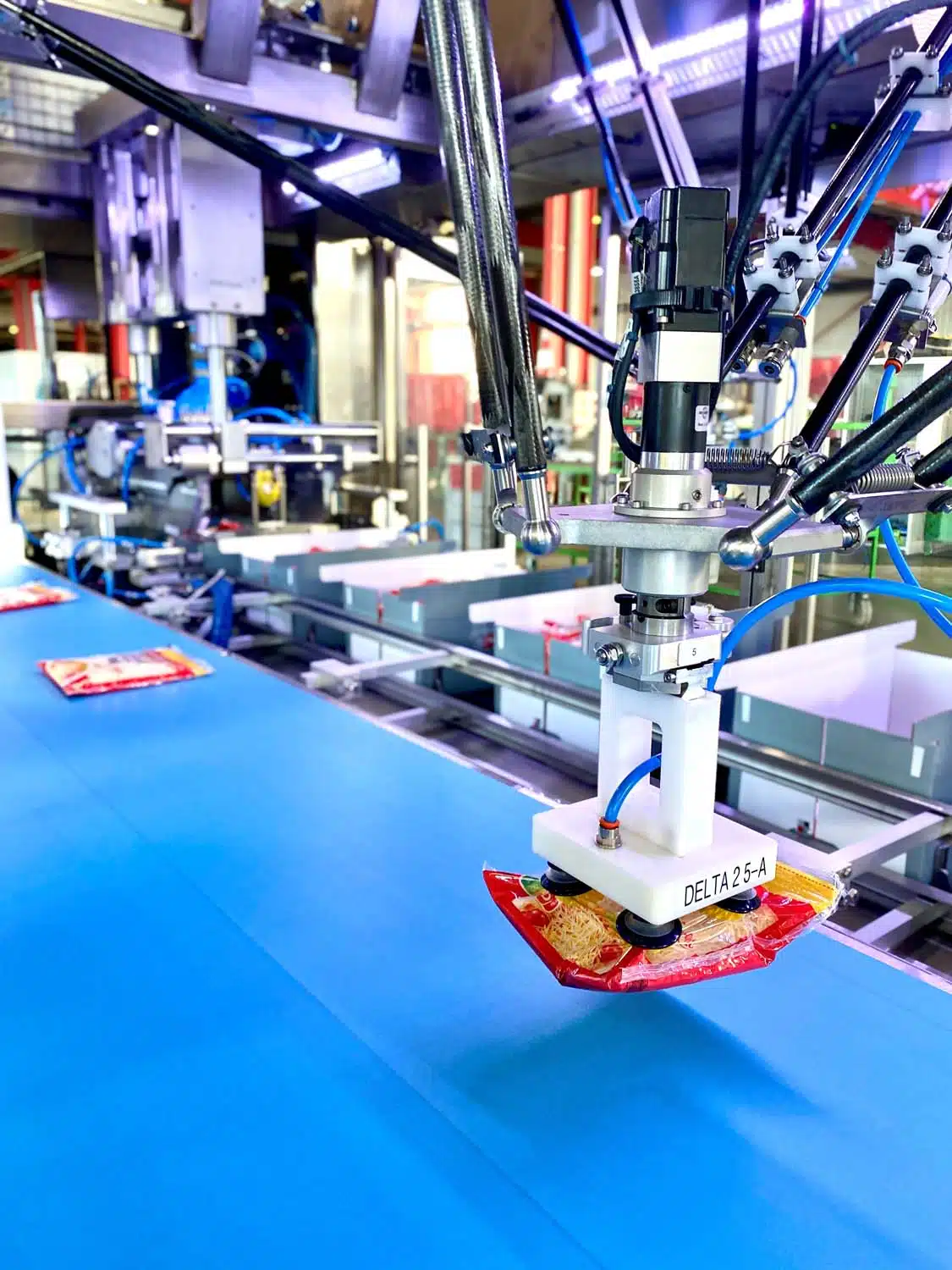 solution fournisseur ligne de conditionnement agroalimentaire