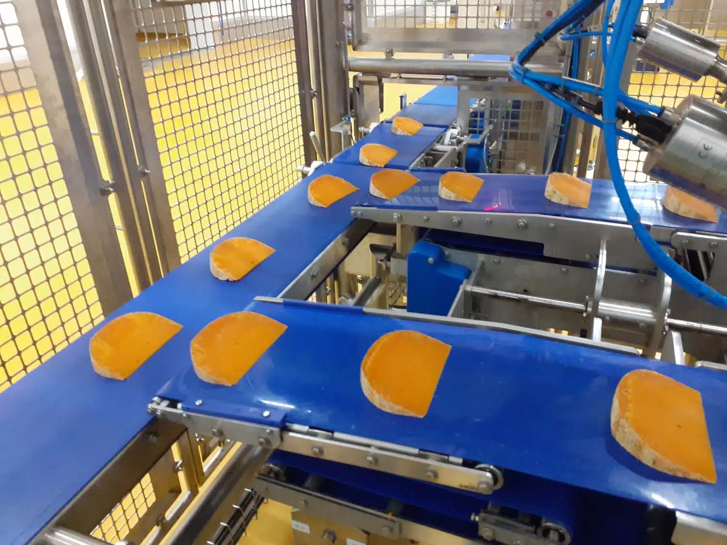 Diviseuse automatique avec découpe ultrason agroalimentaire meule de fromage