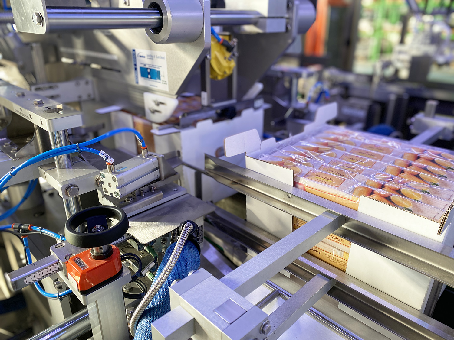 Encaisseuse wrap pour mise en caisse automatisée de produits de boulangerie