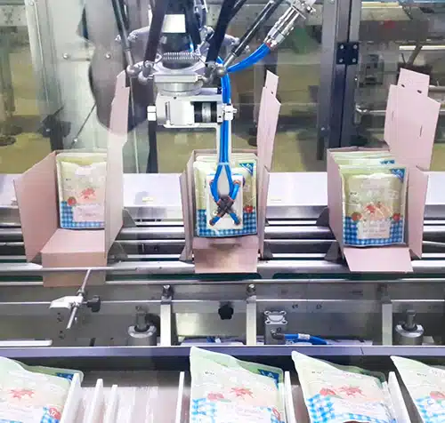 Case packer for Ixapack sauce doypacks