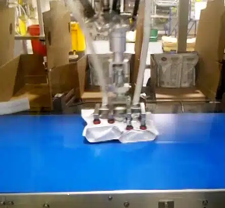 Case packer for Ixapack doypacks of croutons
