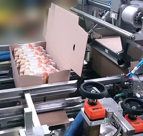 Encaisseuse pour plats préparés Ixapack