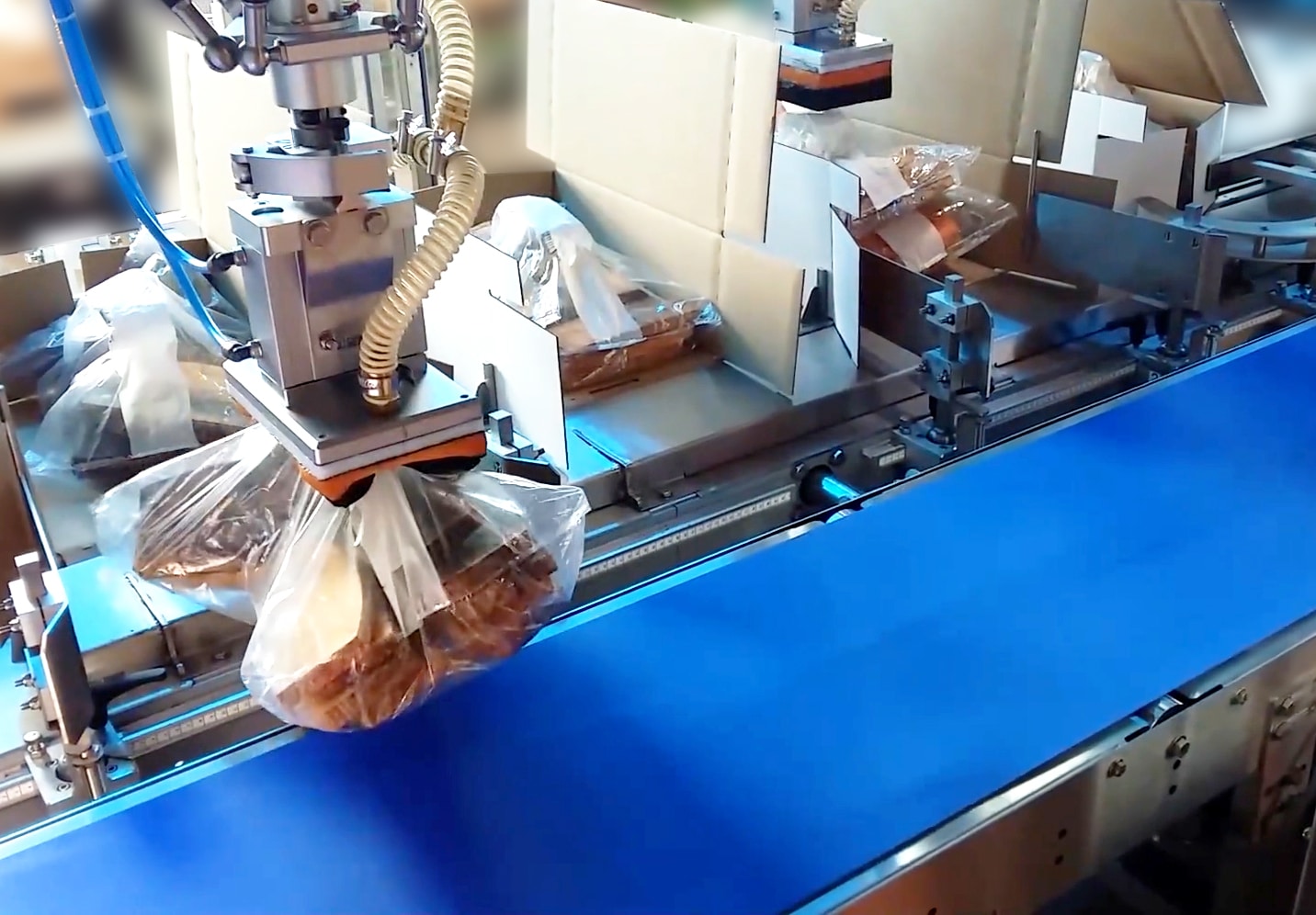 Solution d’étuyage automatisée pour viande et charcuterie