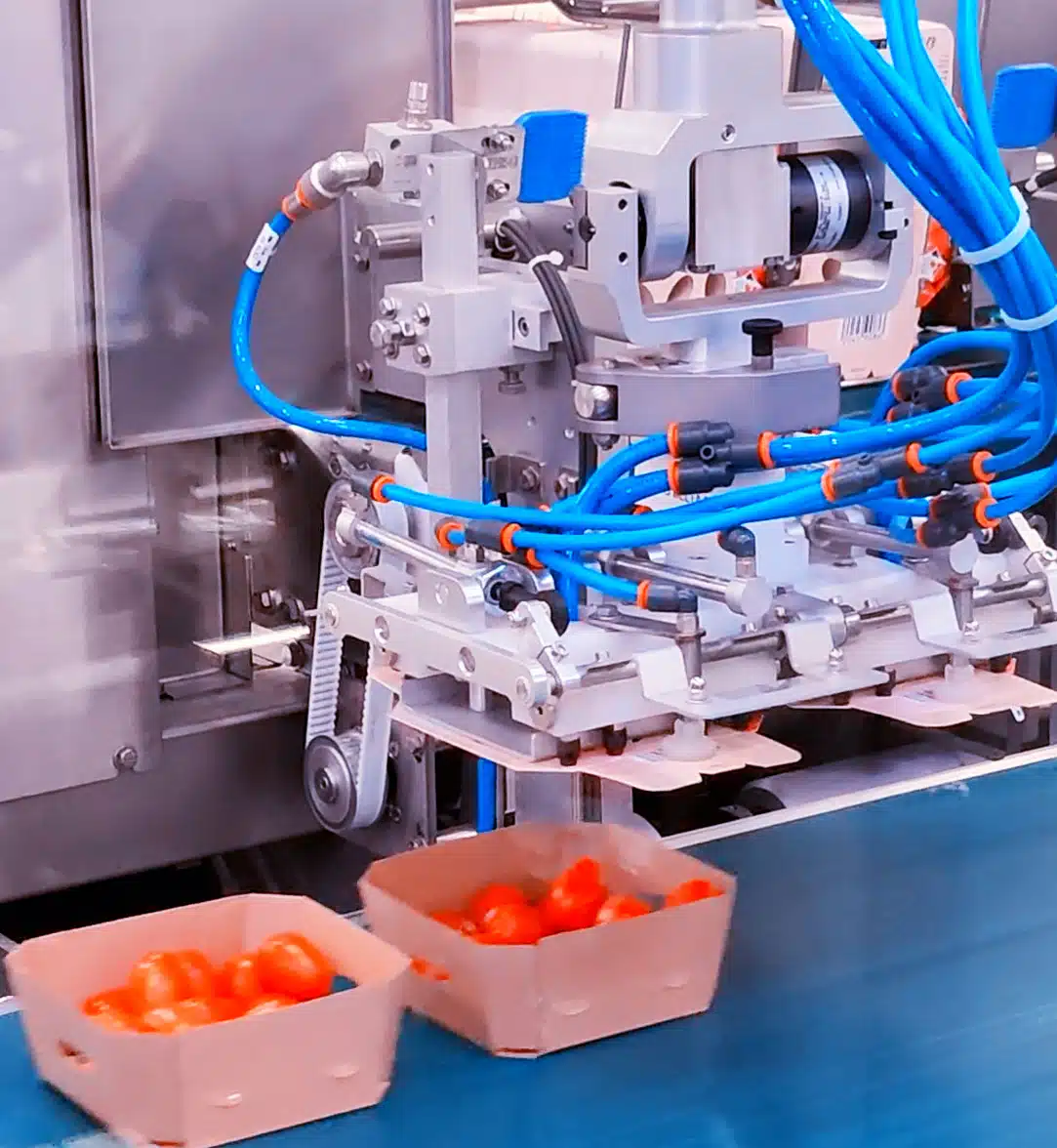 module de coiffe pour chaîne de conditionnement des fruits et légumes