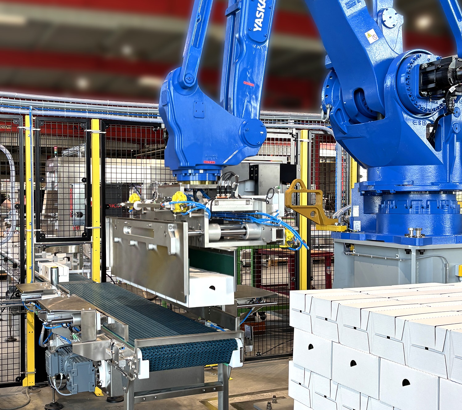 Machine de conditionnement automatique pour logistique Ixapack