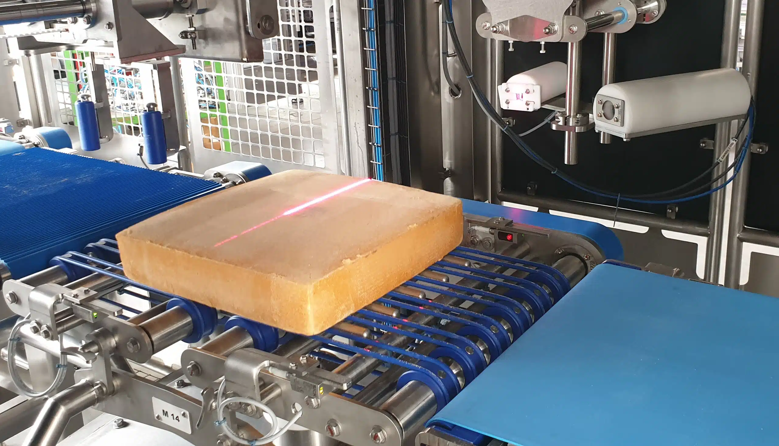 Food portioner with ultrasonic technology