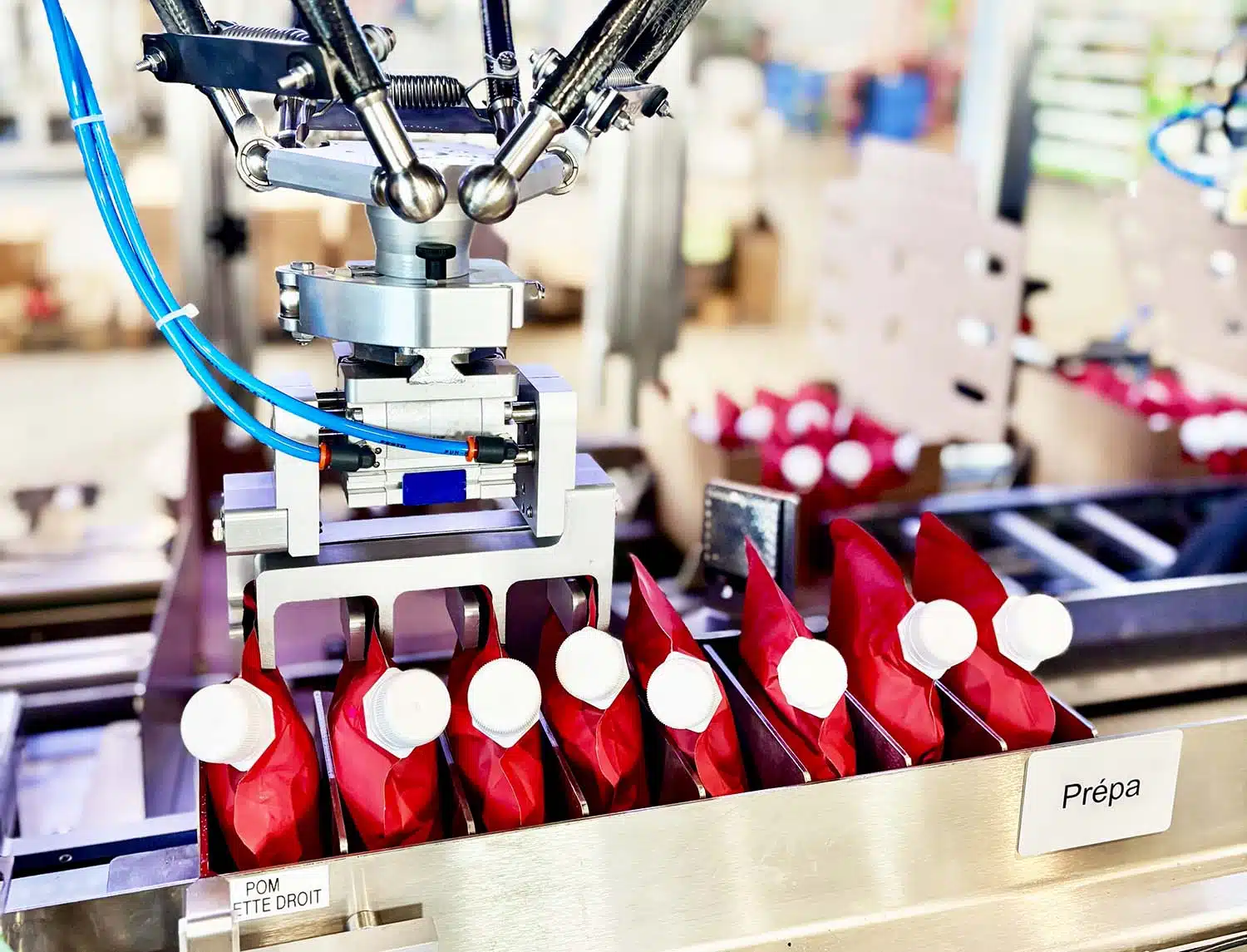Encartonneuse et encaisseuse industrielle Ixapack